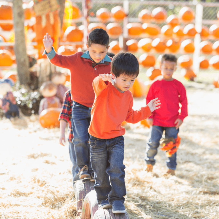 Fall Festival