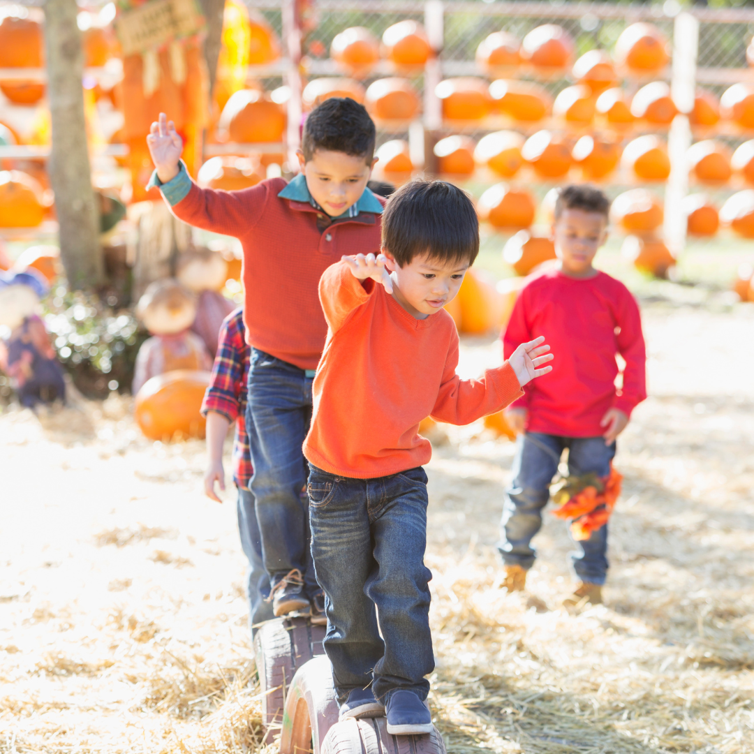 Fall Festival